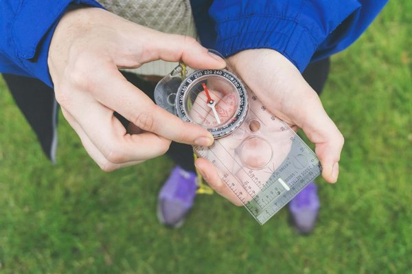 Quelles croisières proposent des randonnées pour explorer les parcs nationaux en Nouvelle-Zélande?