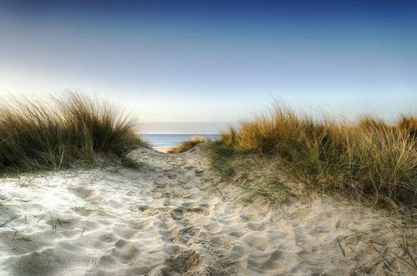 Quels sont les conseils pour un camping en région de dunes de sable en milieu désertique?